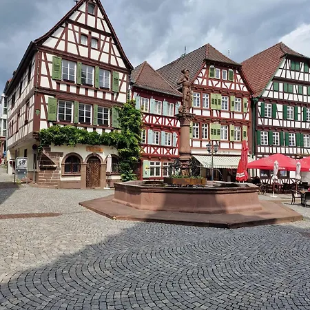 Gaestehaus Am Marktbrunnen 3* 布莱滕